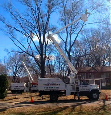 Best Tree Service Best of the Chippewa Valley 2021