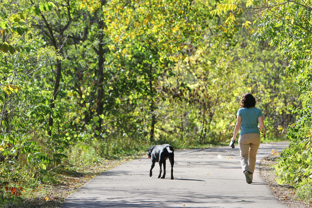 GET OUT AND ABOUT WITH WALKABOUT EC. A new health initiative in the City of Eau Claire aims to get people moving and grooving this summer. 