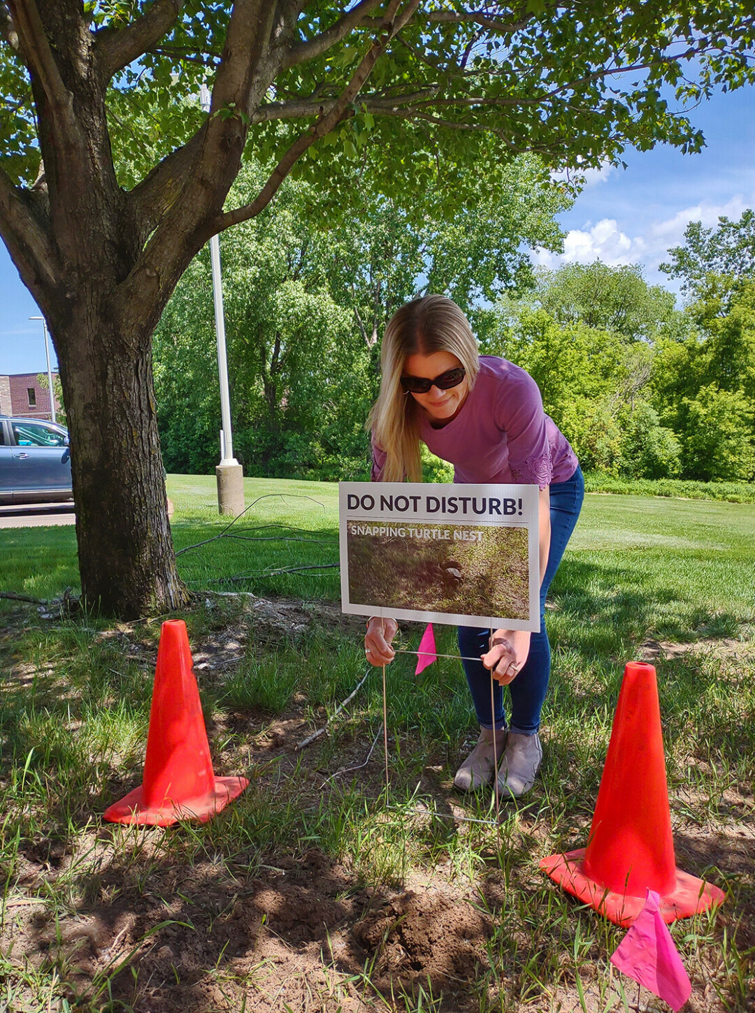 Photo via Ayres Associates' social media<br>of the turtle nest and its protector, Jen.