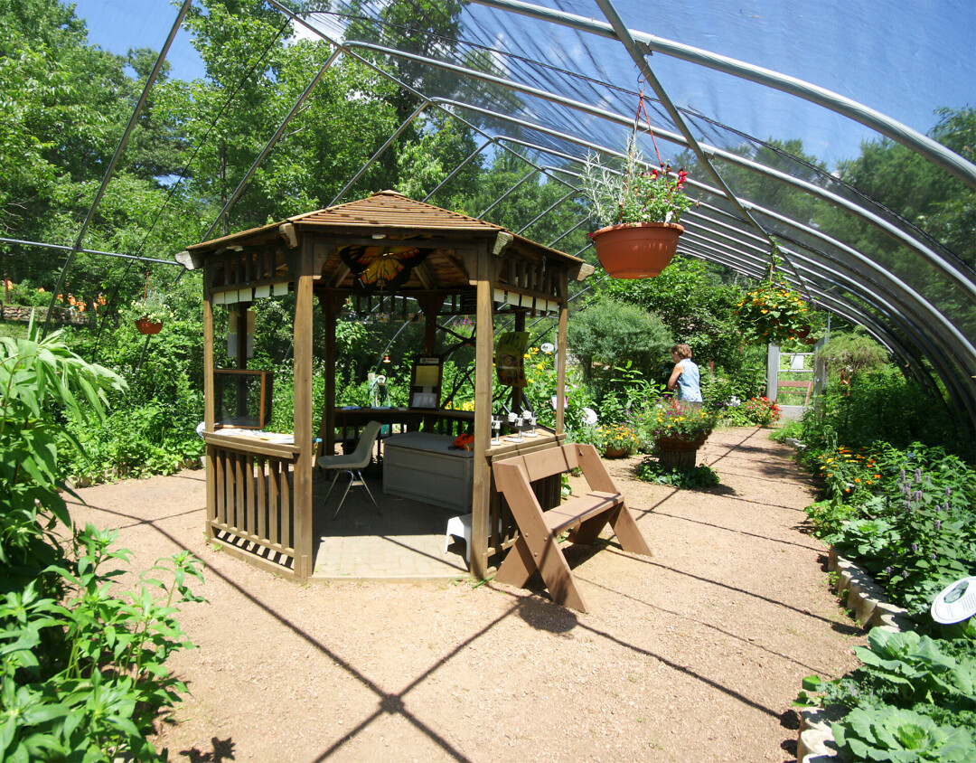 Beaver Creek's Butterfly House opened up Tuesday, July 5, and will remain open through the summer.