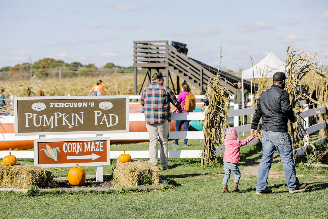 FERGUSON'S IS FLOURISHING. A favorite local orchard, Ferguson's Orchard, is expanding across state lines.