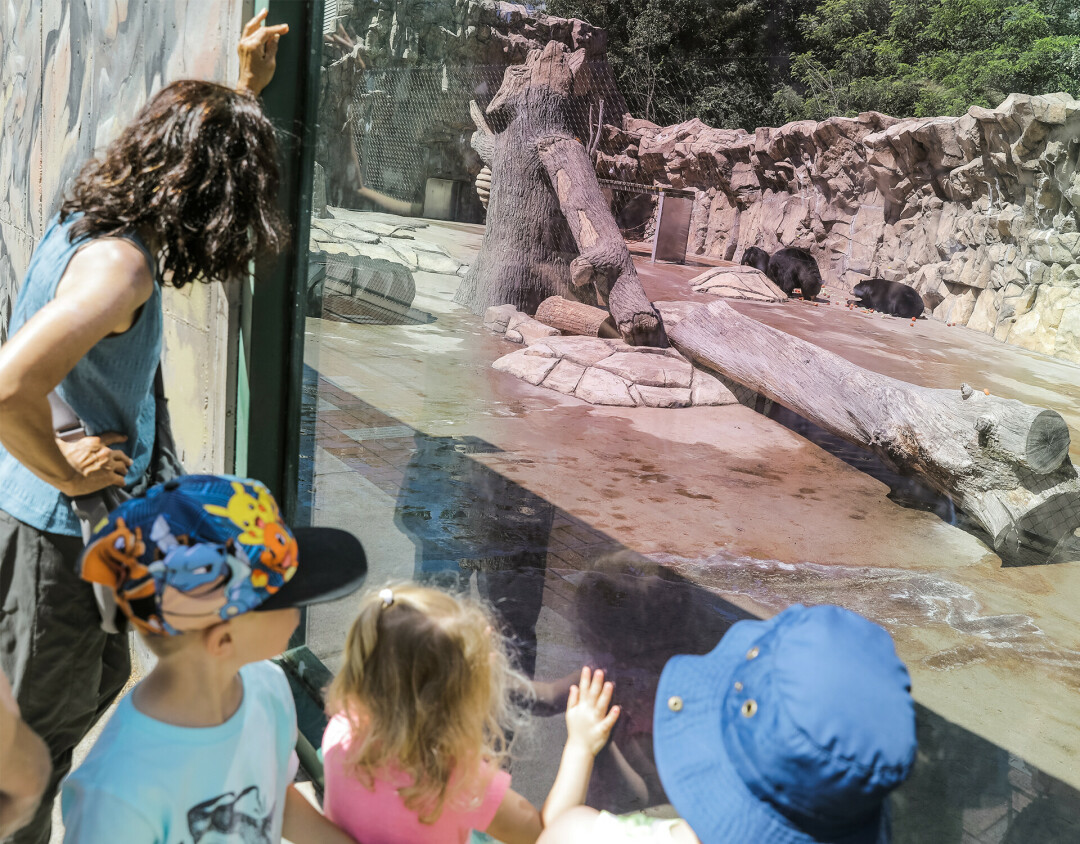 Irvine Park and Zoo, Chippewa Falls.