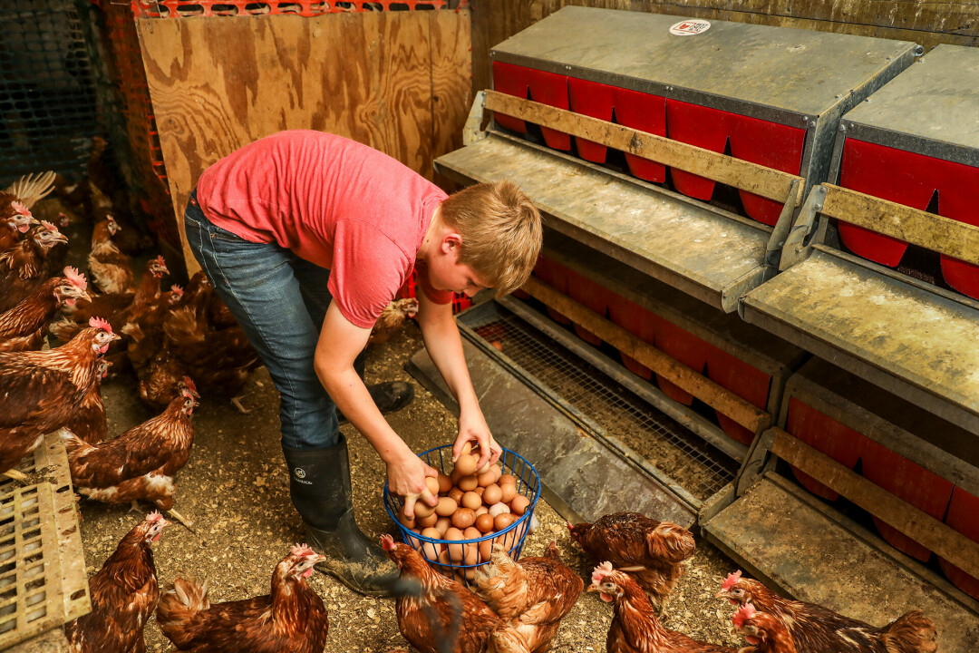 Emery Bohls workin' on the farm.