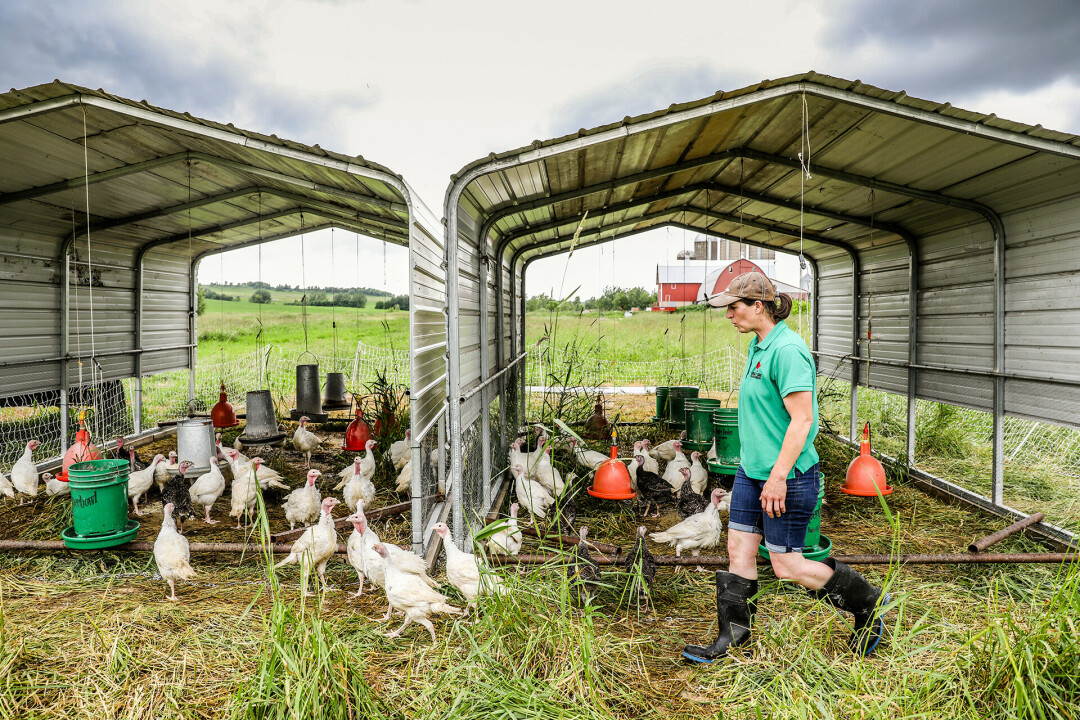 POULTRY FOR THE PEOPLE. Amanda's Eggs has been serving locals farm-fresh eggs and poultry for more than a decade off its Chippewa Falls farm.