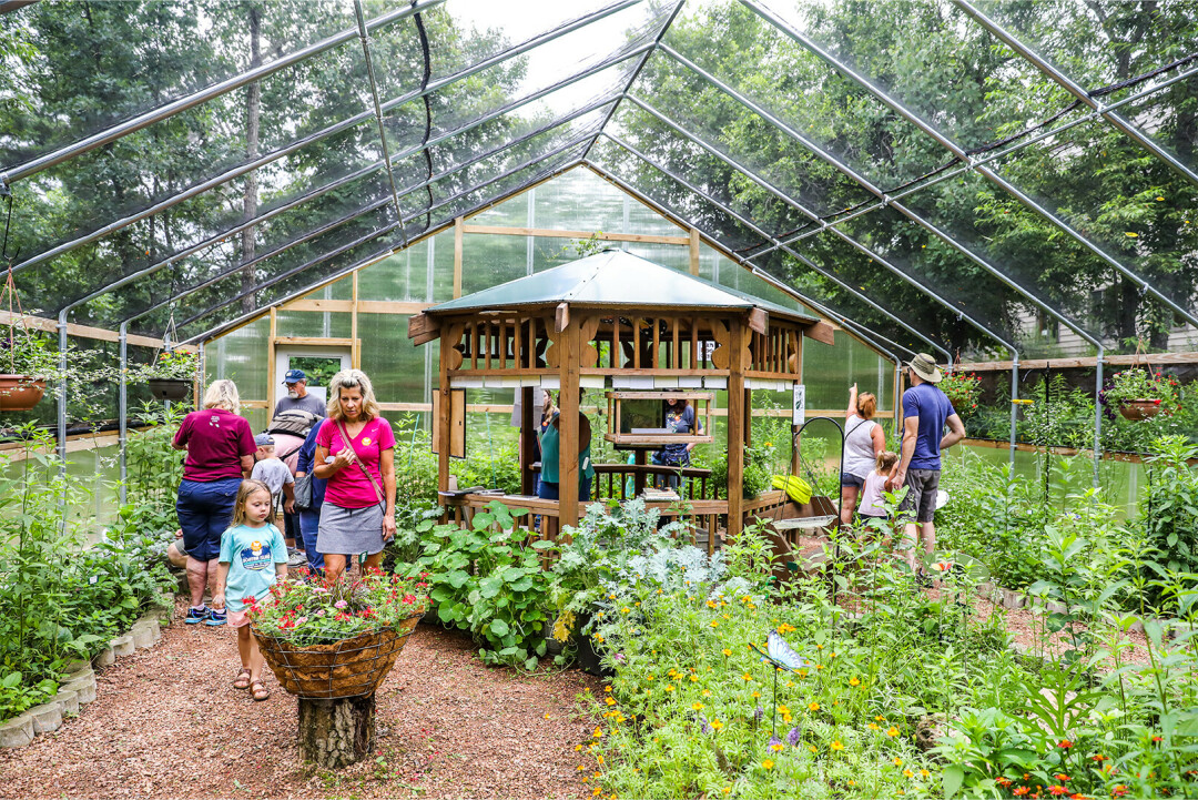 SPREAD YOUR WINGS. Butterfly Fest returns this August with guided tours, activities, and a new feature to attract butterflies right to your hands!