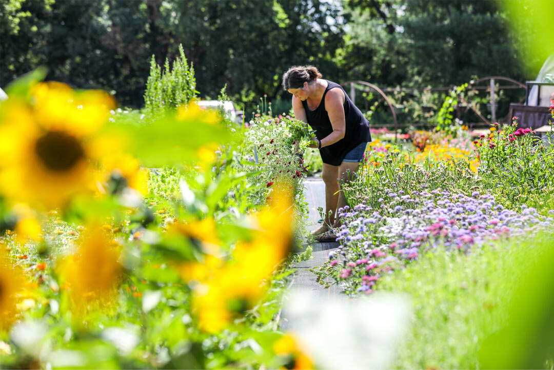 BREATHE IT IN. Ahhh, the smell of fresh-cut flowers. Get a whiff if it yourself at Curuve Tree Farm just outside of Eau Claire.