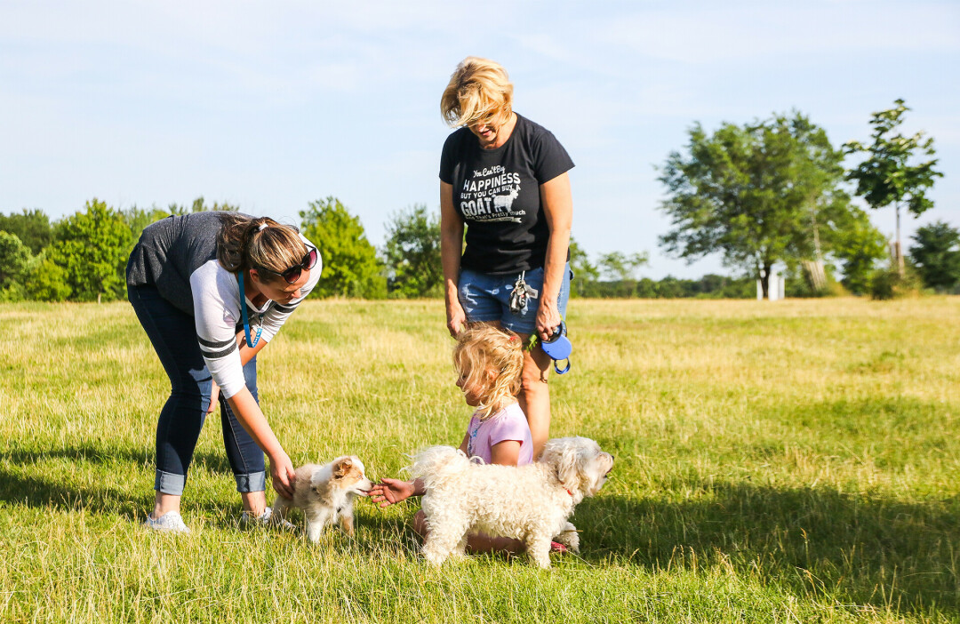 THAT'S WHAT I'M BARKIN' ABOUT. Dog lovers and their furry friends officially have their own festival in town. It was bound to happen eventually. (Eau Claire Dog Park pictured)