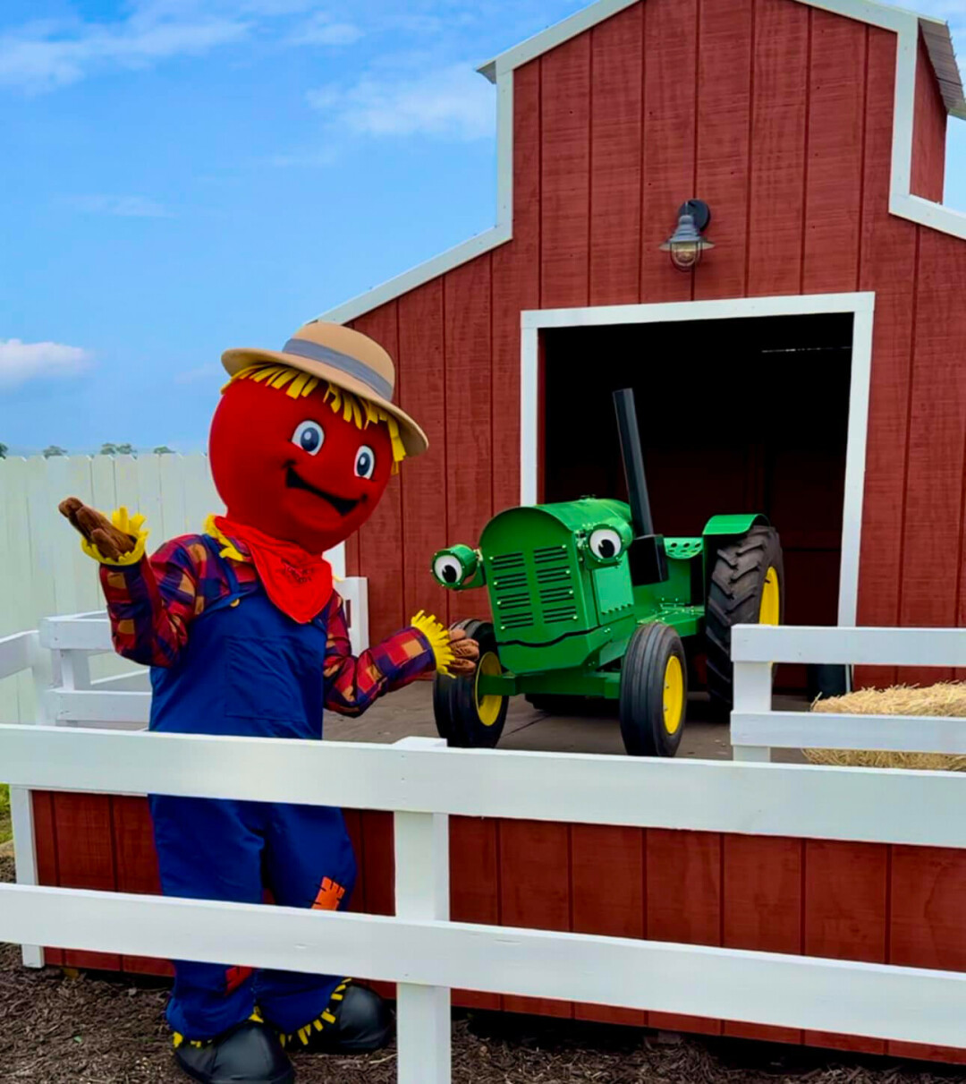 Fergie the scarecrow (left) and Johnny the tractor (right). 