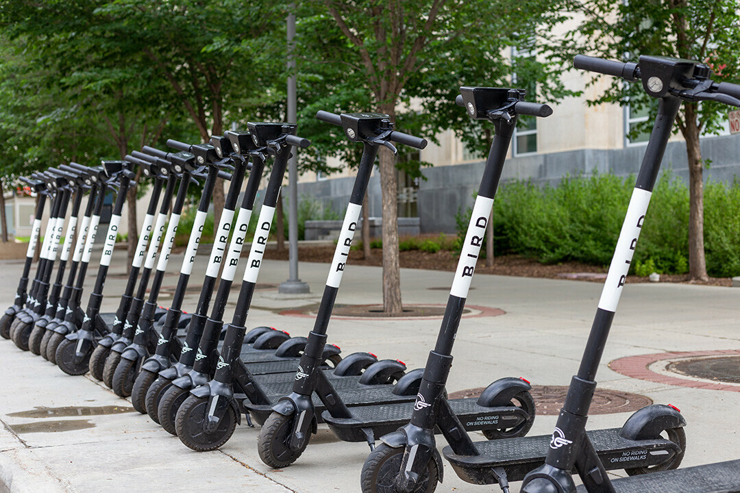 FLYING THE COOP. Bird branded e-scooters are now available in Eau Claire. The company already serves about 350 cities worldwide.