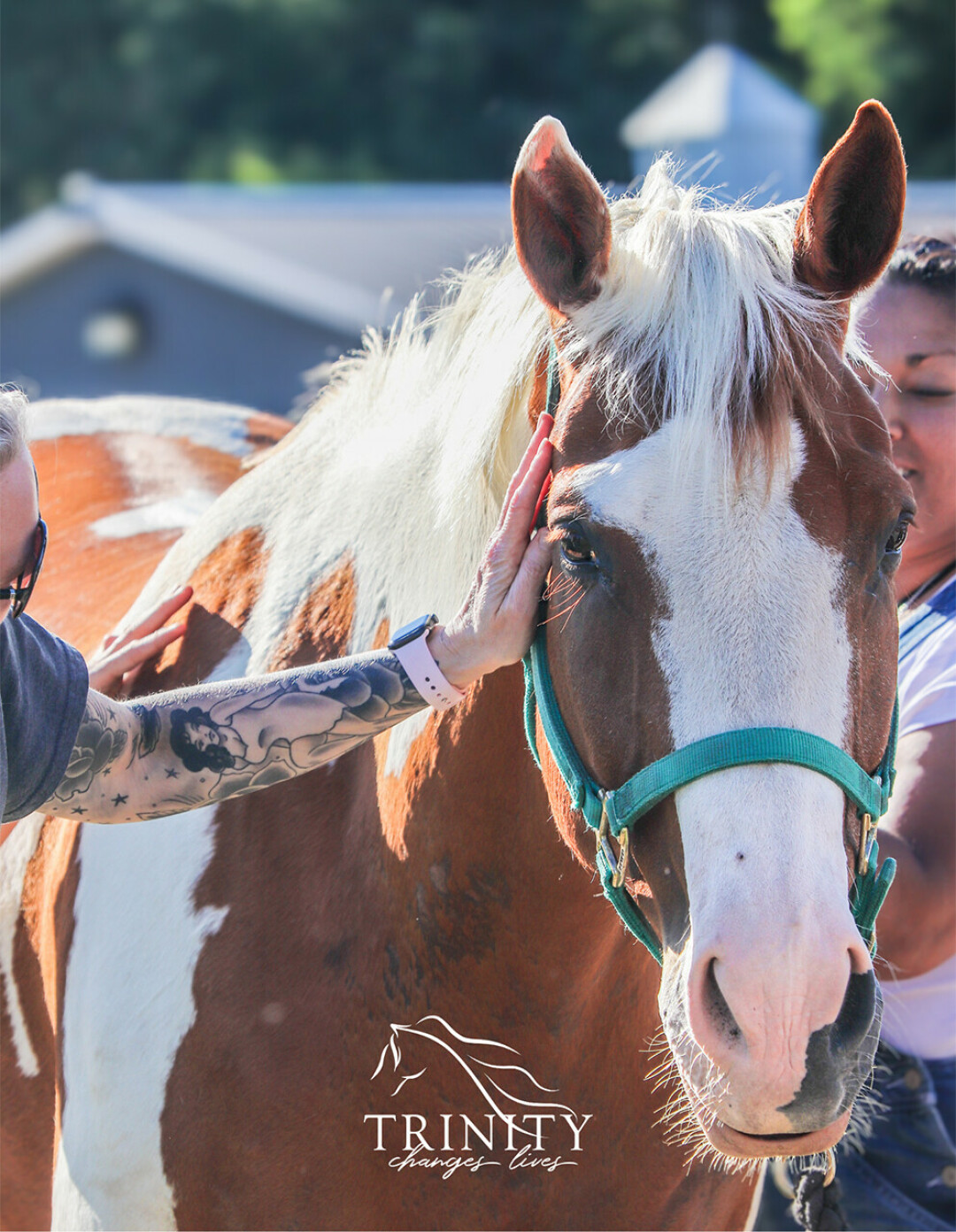 Trinity Equestrian Center's horses help folks through the organization's variety of programs, including equine assisted psychotherapy, adaptive riding, and more.