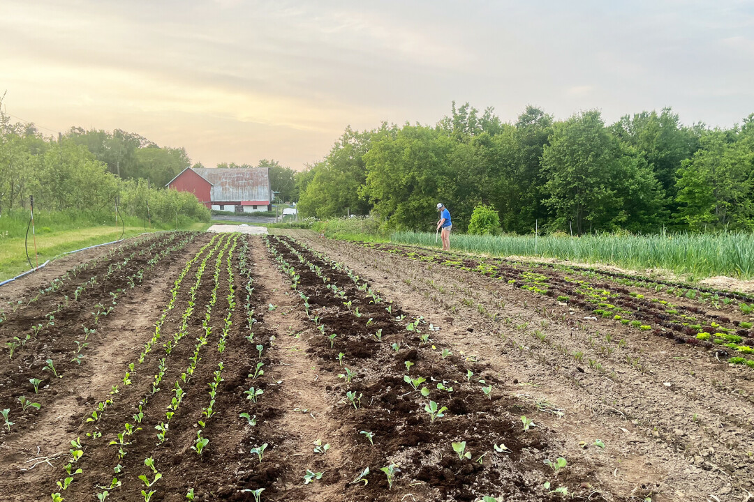 CAPTION
