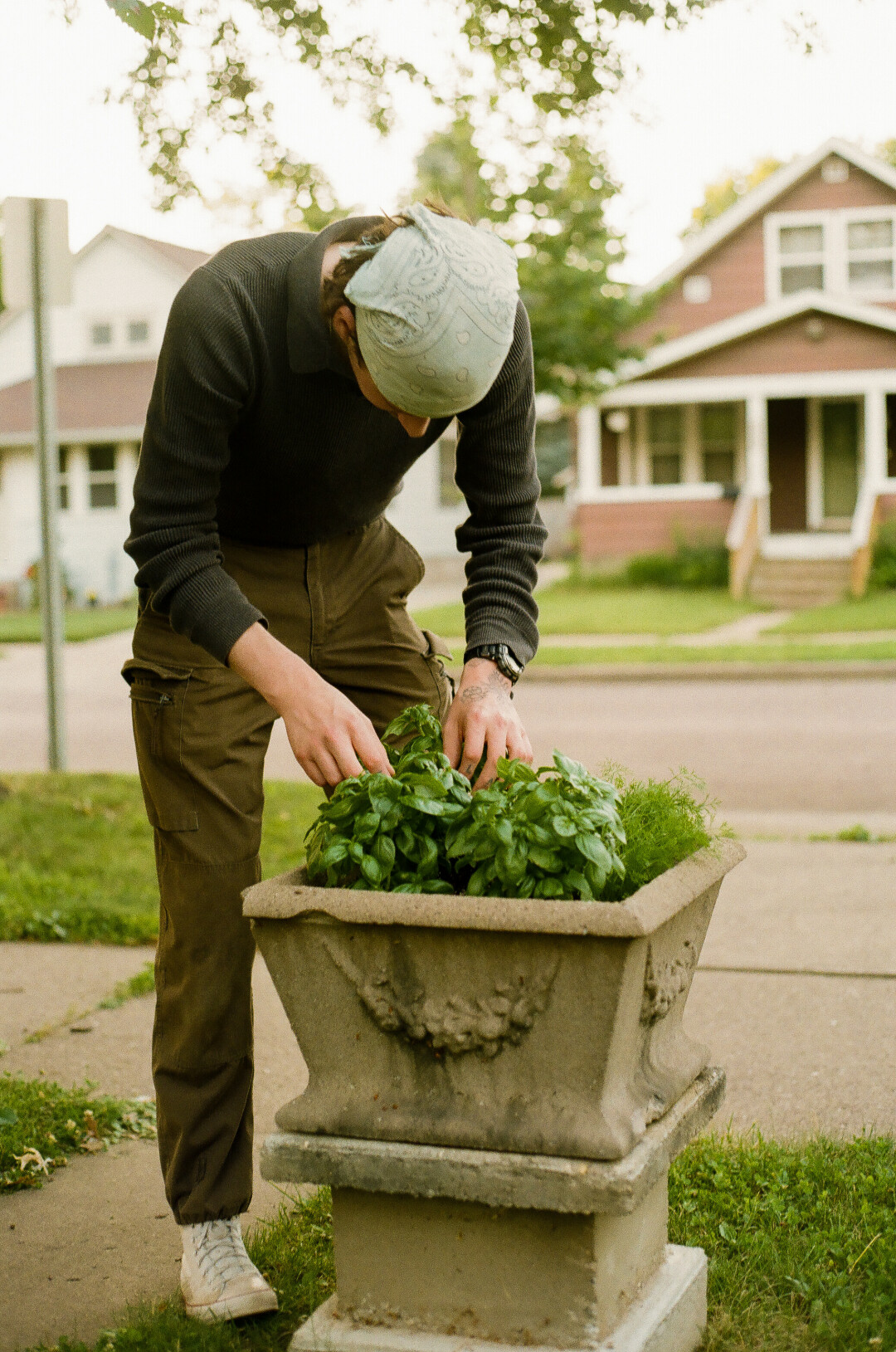 My man and our basil (and dill) plants.
