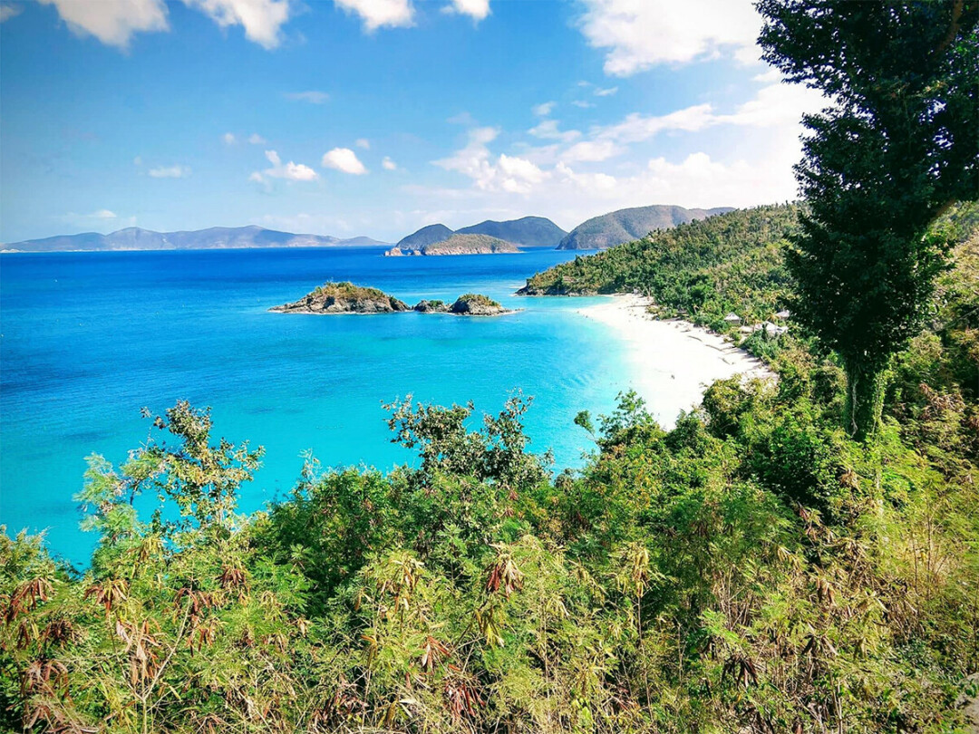 Tropical adventures.